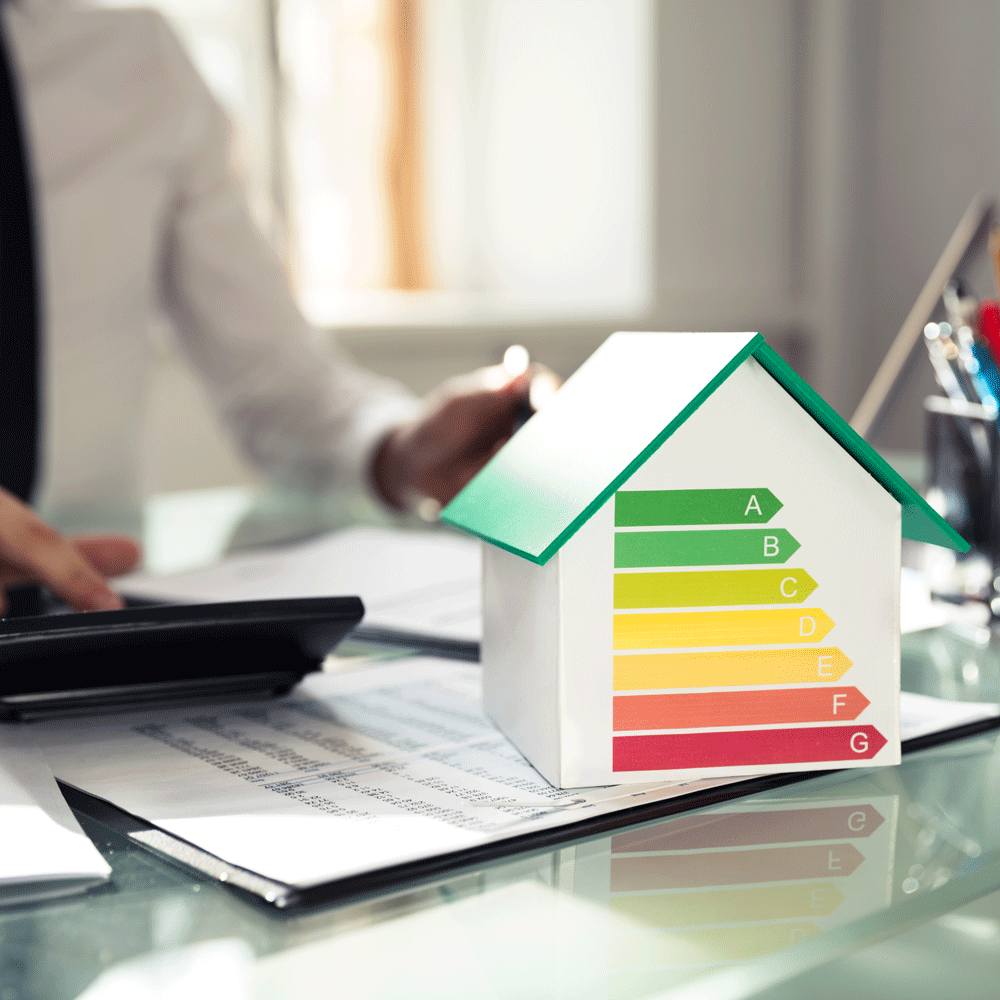 Domestic Energy Usage
