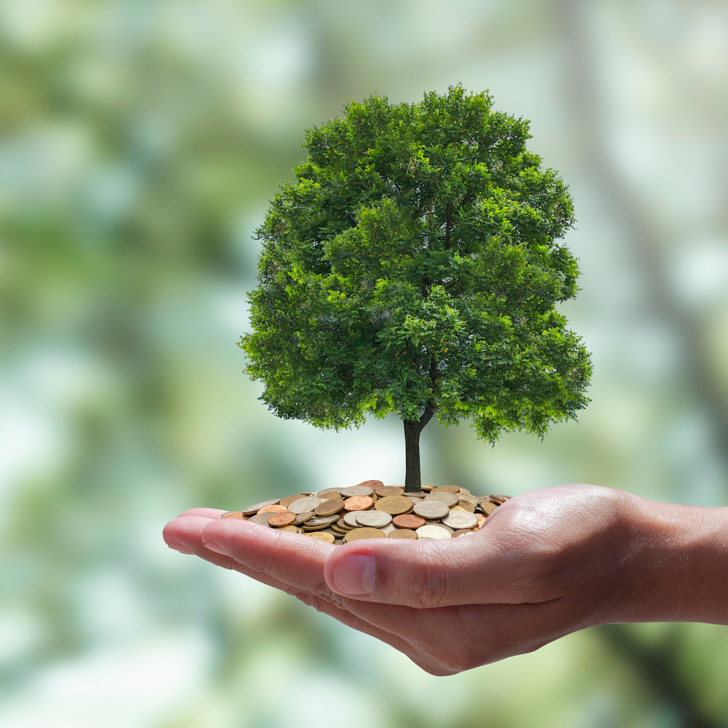 Carbon offsetting