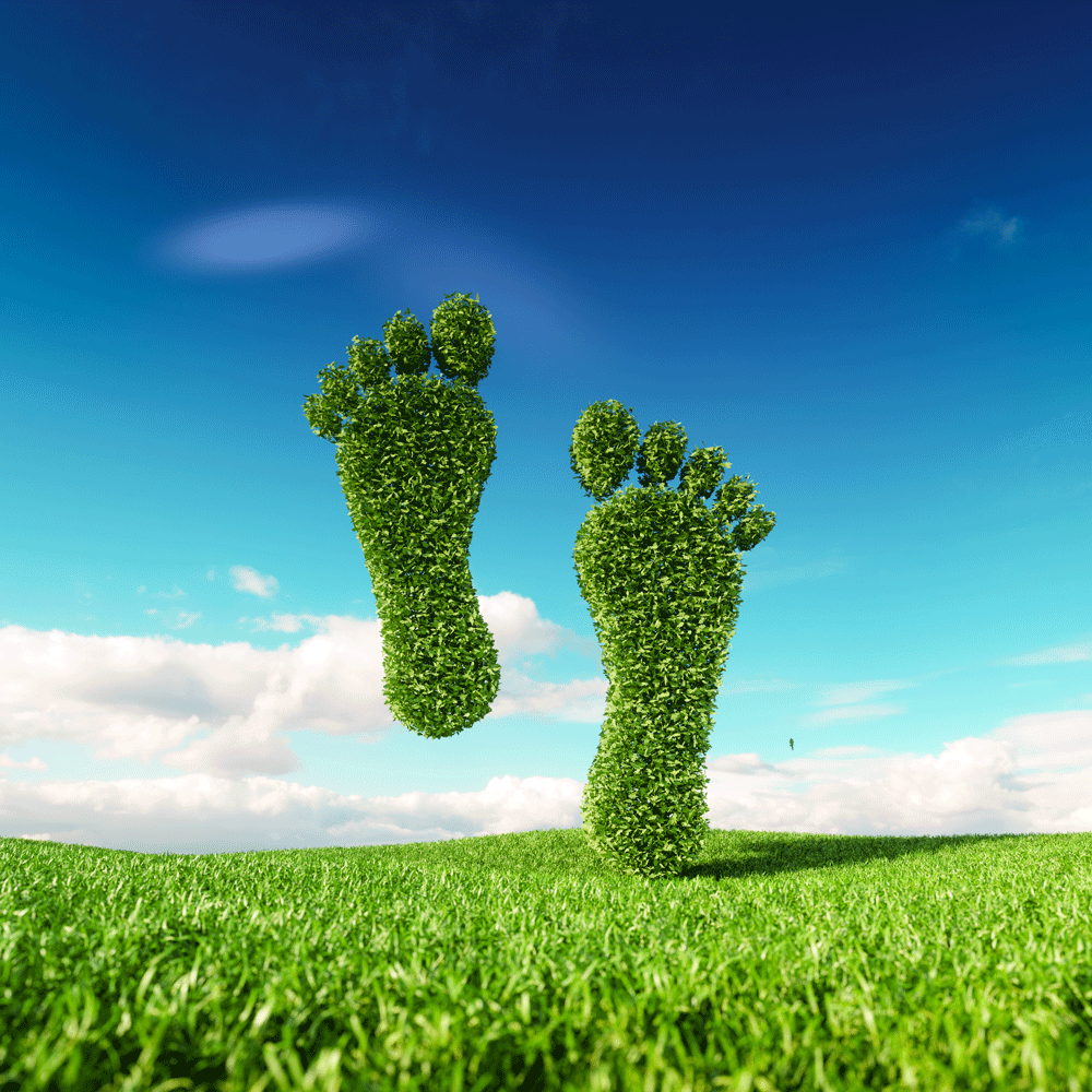 What is the green gas levy